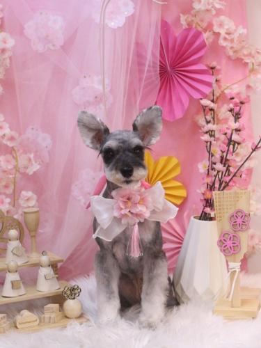 20250325むぎちゃん